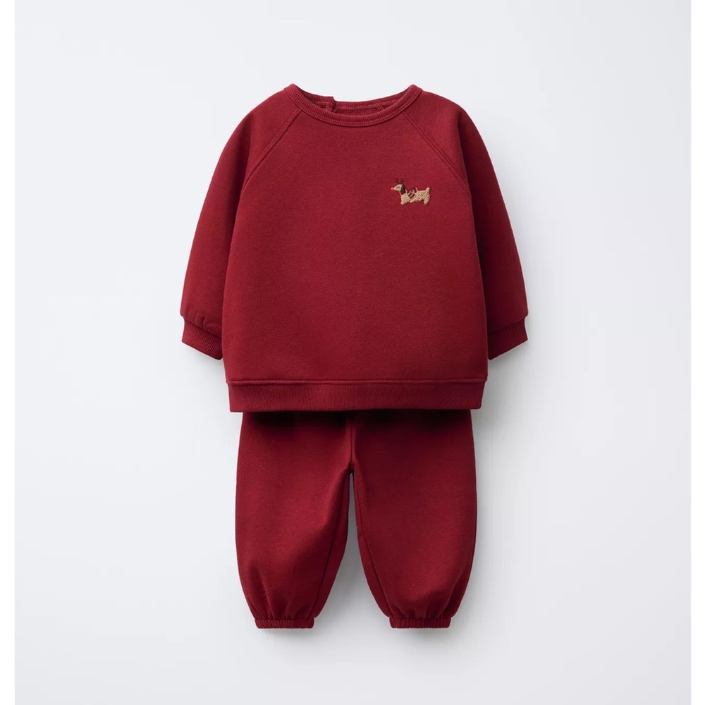 Zara sweatshirt and pants set
